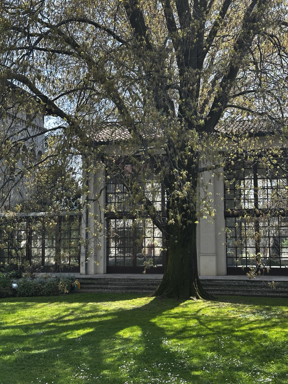 Garden and glass pavilion at the villa
